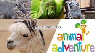 ZSL LONDON ZOO
 