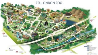 ZSL LONDON ZOO
 