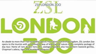 An abode to more than 750 incredible species from plant and animal kingdom, ZSL London Zoo
opens to the tourists with an innovative way of learning the nature and a complete package of
day tour. Home of rare Asiatic lions, this zoological garden also has western lowland gorillas,
Chapman's zebras, tiger and Humboldt penguins.
ZSL LONDON ZOO
 