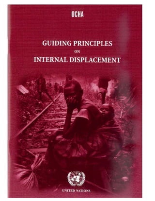 United Nations Guiding Principles on Internal Displacement