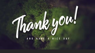 United Nations Organization 