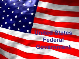 United States
Federal
Government

 
