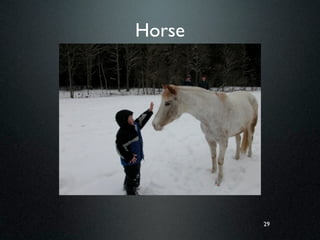 Horse




        29
 