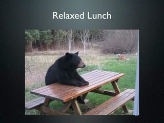 Relaxed Lunch




                34
 