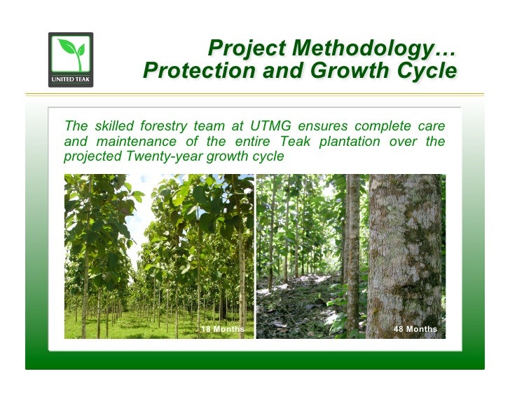 United Teak Investment Presentation V.3.4