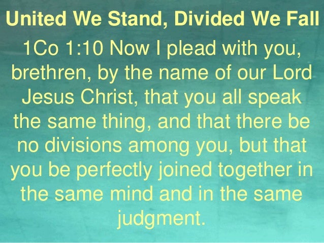 Explain united we stand, divided we fall image