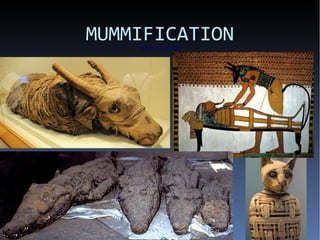 MUMMIFICATIONMUMMIFICATION
 