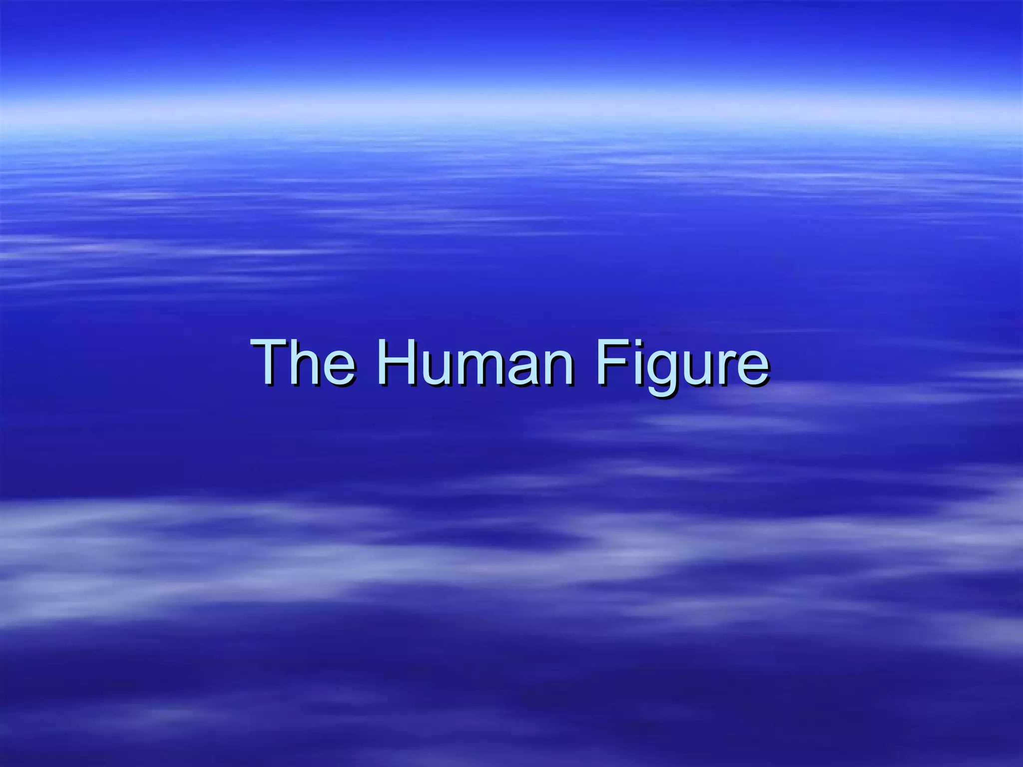 The Human Figure 