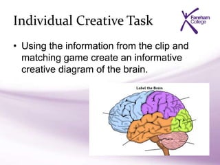 Individual Creative Task
• Using the information from the clip and
matching game create an informative
creative diagram of the brain.
 