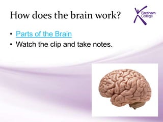 How does the brain work?
• Parts of the Brain
• Watch the clip and take notes.
 