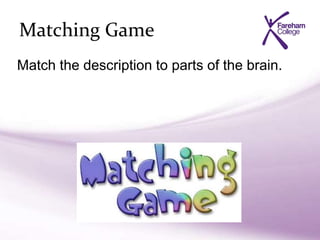 Matching Game
Match the description to parts of the brain.
 