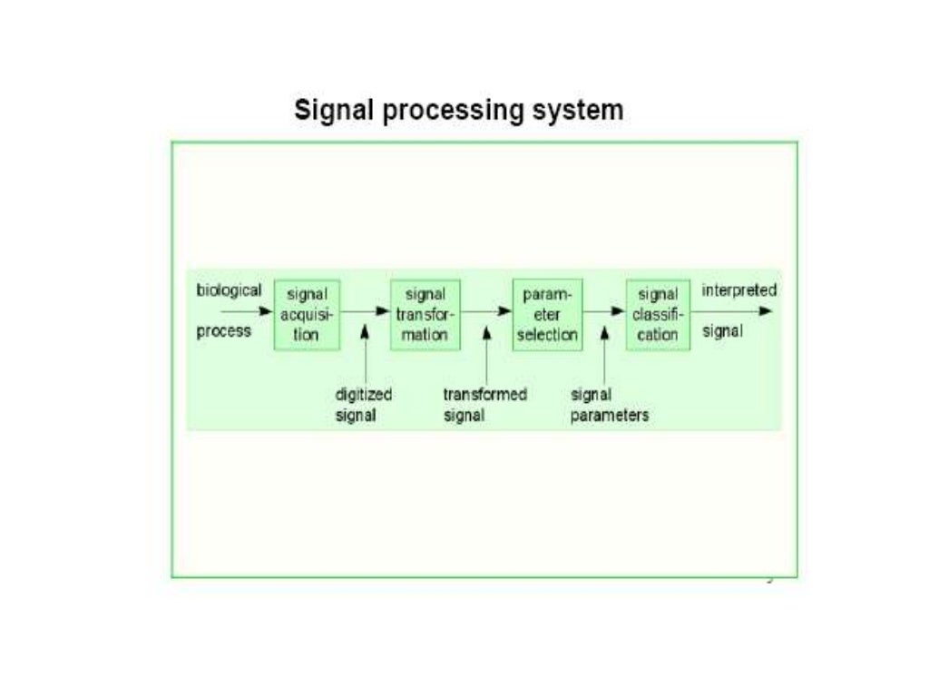 Biomedical Signals