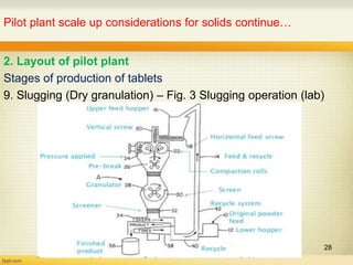 Pilot plant and scale up considerations for solids | PPT