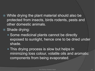 Shade Drying Example Unit I herbs as raw materials, biodynamic agriculture.ppt
