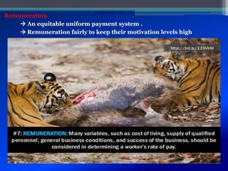 Remuneration
 An equitable uniform payment system .
 Remuneration fairly to keep their motivation levels high
STUDENTSFOCUS.COM
 