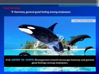 Esprit de corps
 Harmony, general good feeling among employees
STUDENTSFOCUS.COM
 