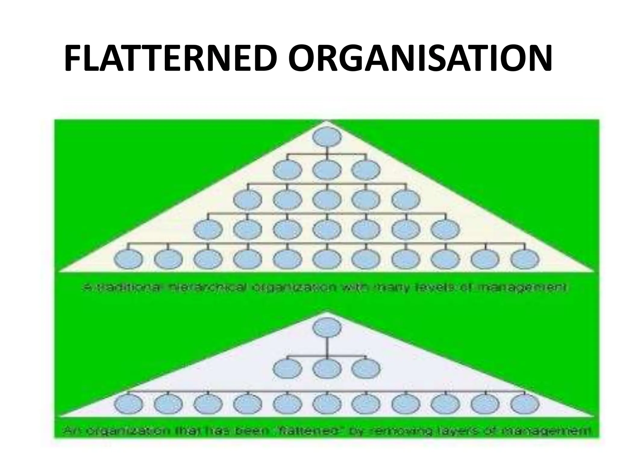 FLATTERNED ORGANISATION
 