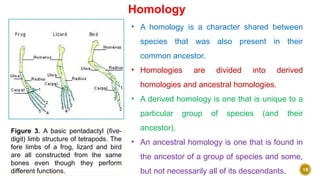 unit 1Insect Phylogeny and Systematics Evolutionary classification: the ...
