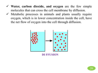  Water, carbon dioxide, and oxygen are the few simple
molecules that can cross the cell membrane by diffusion.
 Metabolic processes in animals and plants usually require
oxygen, which is in lower concentration inside the cell, have
the net flow of oxygen into the cell through diffusion.
DI FFUSION
39
 