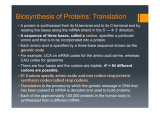 Biosynthesis of Proteins: Translation
§ A protein is synthesized from its N-terminal end to its C-terminal end by
reading the bases along the mRNA strand in the 5’ ---à 3’ direction.
§ A sequence of three bases, called a codon, specifies a particular
amino acid that is to be incorporated into a protein.
§ Each amino acid is specified by a three-base sequence known as the
genetic code
§ For example, UCA on mRNA codes for the amino acid serine, whereas
CAG codes for glutamine
§ There are four bases and the codons are triplets, 43 = 64 different
codons are possible.
§ 61 Codons specify amino acids and one codon stop protein
synthesis coden called stop codons.
§ Translation is the process by which the genetic message in DNA that
has been passed to mRNA is decoded and used to build proteins.
§ Each of the approximately 100,000 proteins in the human body is
synthesized from a different mRNA.
 