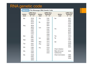 RNA genetic code
 