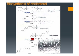 Biosynthesis of cholesterol
 