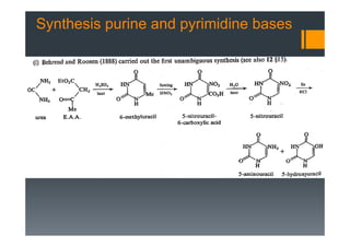 Synthesis purine and pyrimidine bases
 