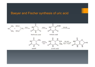 Baeyer and Fischer synthesis of uric acid
 