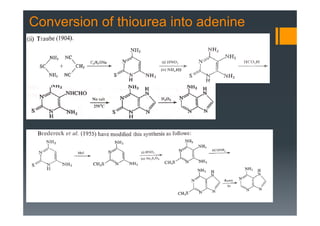 Conversion of thiourea into adenine
 