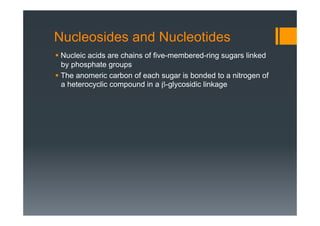 Nucleosides and Nucleotides
§ Nucleic acids are chains of five-membered-ring sugars linked
by phosphate groups
§ The anomeric carbon of each sugar is bonded to a nitrogen of
a heterocyclic compound in a β-glycosidic linkage
 
