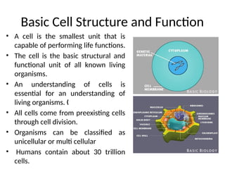 Comprehensive Overview of Cell Structure, Biomolecules, and Metabolism ...