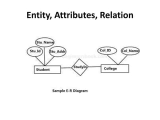 Entity, Attributes, Relation
 
