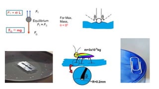 Fluid Mechanics - Fluid Properties