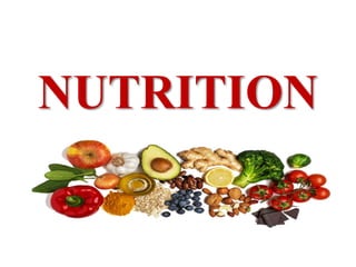 NUTRITION
 