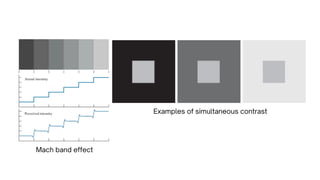 Mach Bands Examples Unit I - Introduction to Digital Image Processing.pdf