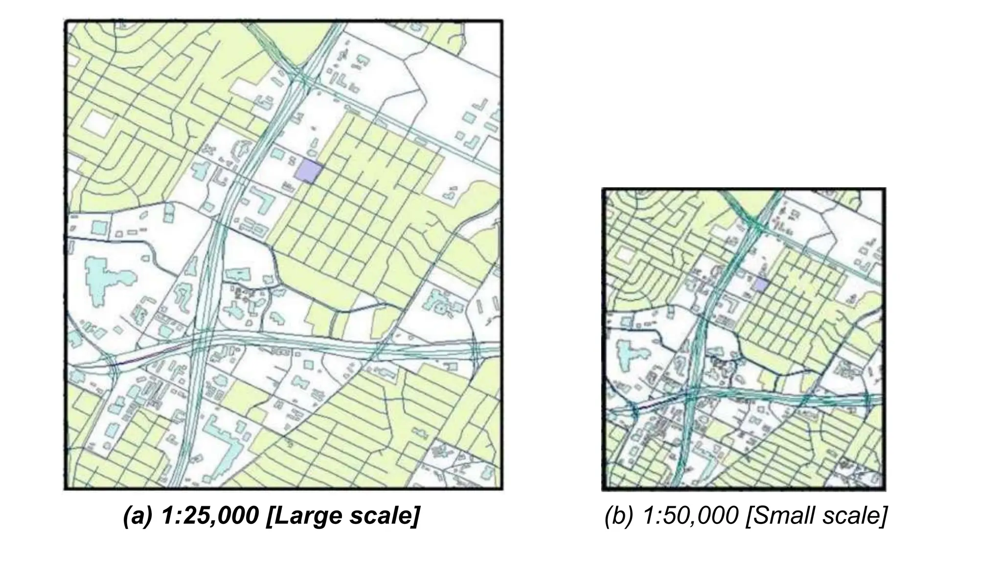 (a) 1:25,000 [Large scale] (b) 1:50,000 [Small scale]
 