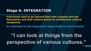 Stage 6: INTEGRATION
Individuals start to go beyond their own cultures and see
themselves and their actions based on multifarious cultural
viewpoints.
An individual in the integration stage might be heard saying:
“I can look at things from the
perspective of various cultures.”
14
 