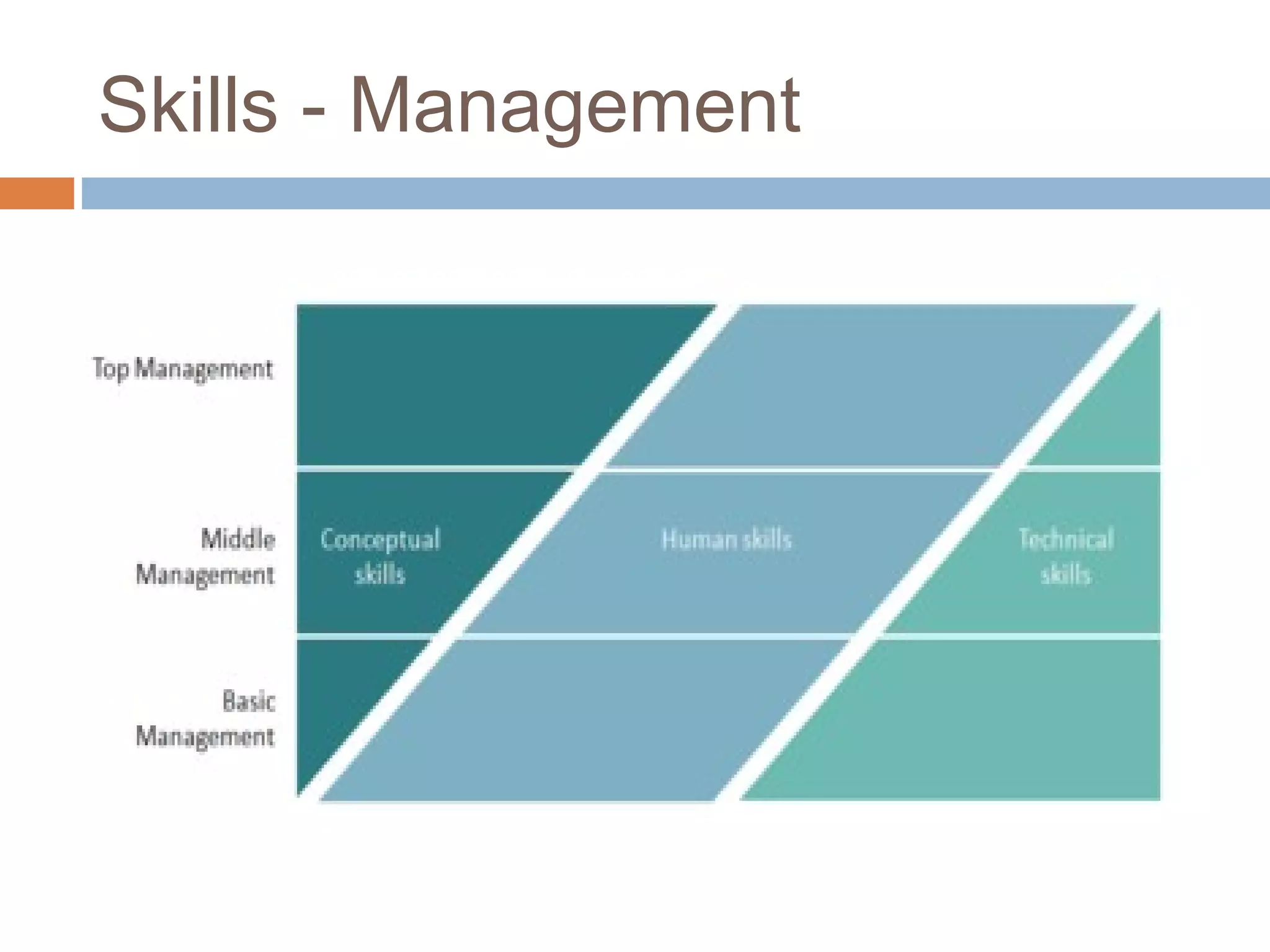 Skills - Management
 