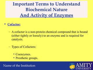 Comprehensive Overview of Enzyme Technology: Structure, Function, and ...