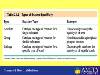 Comprehensive Overview of Enzyme Technology: Structure, Function, and ...
