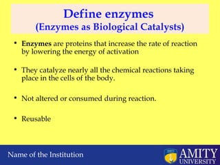 Comprehensive Overview of Enzyme Technology: Structure, Function, and ...