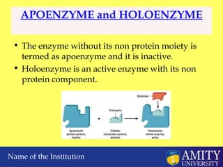 Comprehensive Overview of Enzyme Technology: Structure, Function, and ...