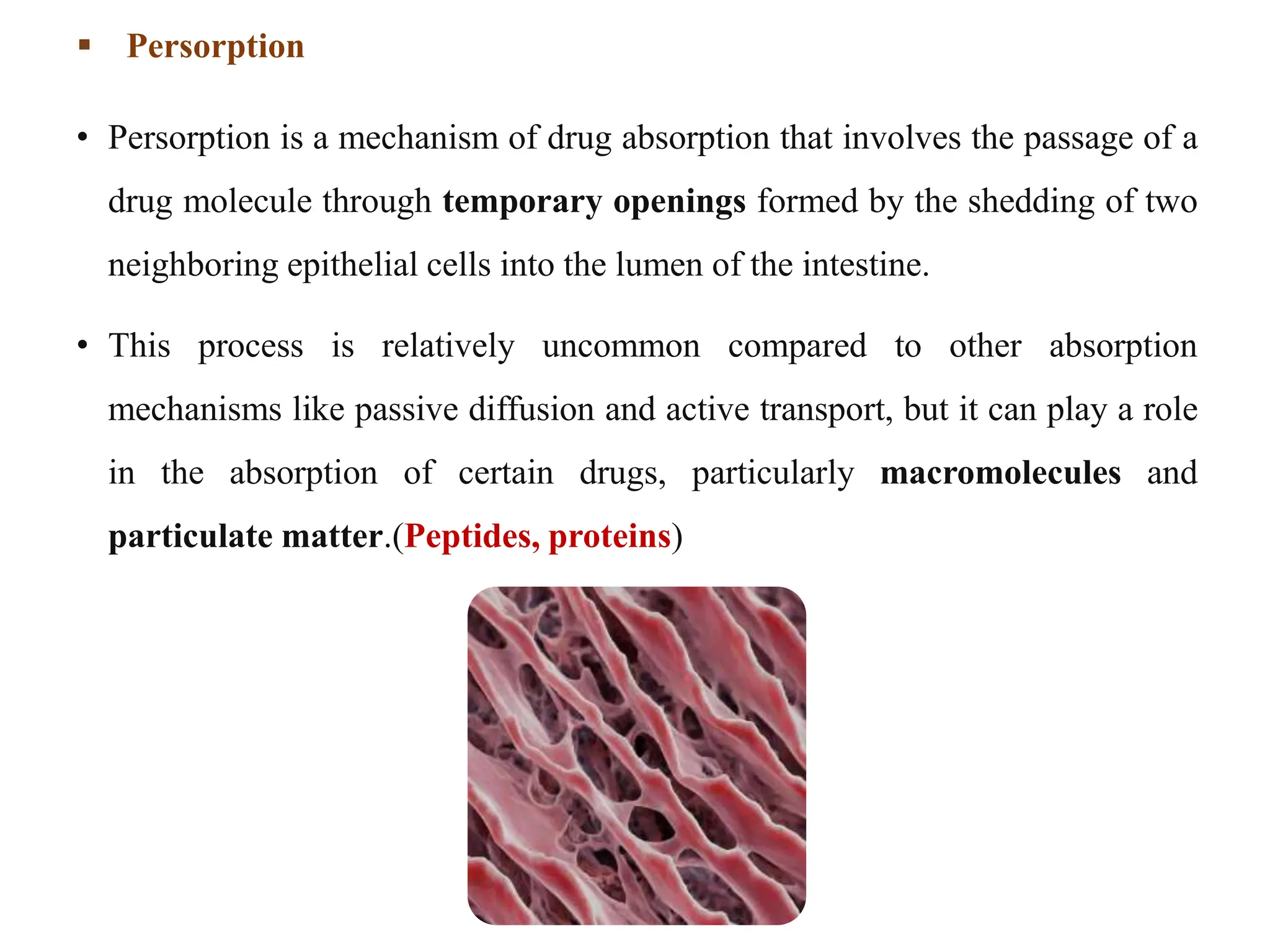  Persorption
• Persorption is a mechanism of drug absorption that involves the passage of a
drug molecule through temporary openings formed by the shedding of two
neighboring epithelial cells into the lumen of the intestine.
• This process is relatively uncommon compared to other absorption
mechanisms like passive diffusion and active transport, but it can play a role
in the absorption of certain drugs, particularly macromolecules and
particulate matter.(Peptides, proteins)
 