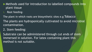  Methods used for introduction to labelled compounds into
plant tissue
1. Root feeding-
The plant in which roots are biosynthetic sites e.g Tobacco
The plants are hydroponically cultivated to avoid microbial
contamination.
2. Stem feeding:
Substrate can be administered through cut ends of stem
immersed in solution. For latex containing plant this
method is not suitable.
 