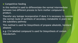  Competitive feeding
In this method is used to differentiate the normal intermediate
between two different process to form mother compound to
product.
Therefor any isotope incorporation if done it is necessary to consider
the normal route of synthesis of secondary metabolite in plant not
the subsidiary pathway
This method is used for biosynthesis of propane alkaloids, hemlock
alkaloid.
e.g- C14 labelled compound is used for biosynthesis of conium
maculactum.
 