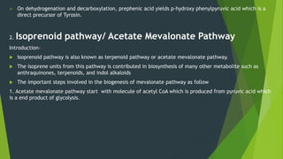  On dehydrogenation and decarboxylation, prephenic acid yields p-hydroxy phenylpyruvic acid which is a
direct precursor of Tyrosin.
2. Isoprenoid pathway/ Acetate Mevalonate Pathway
Introduction-
 Isoprenoid pathway is also known as terpenoid pathway or acetate mevalonate pathway.
 The isoprene units from this pathway is contributed in biosynthesis of many other metabolite such as
anthraquinones, terpenoids, and indol alkaloids
 The important steps involved in the biogenesis of mevalonate pathway as follow
1. Acetate mevalonate pathway start with molecule of acetyl CoA which is produced from pyruvic acid which
is a end product of glycolysis.
 