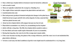 ➢ Once a thick layer of plant debris is formed, it must be buried by sediments
➢ such as mud or sand.
➢ These are typically washed into the swamp by a flooding river.
➢ The weight of these materials compacts the plant debris and aids in its
➢ transformation into coal.
➢ Heat and pressure produced chemical and physical changes in the plant layers
which forced out oxygen and left rich carbon deposits. In time, material that
had been plants became coal.
➢ About ten feet of plant debris will compact into just one foot of coal.
➢ Plant debris accumulates very slowly. So, accumulating ten feet of plant
➢ debris will take a long time. The fifty feet of plant debris needed to make a
➢ five-foot thick coal seam would require thousands of years to accumulate.
➢ During that long time, the water level of the swamp must remain stable.
➢ If the water becomes too deep, the plants of the swamp will drown, and if the water cover is not maintained the
plant debris will decay.
➢ To form a coal seam, the ideal conditions of perfect water depth must be maintained for a very long time.
 