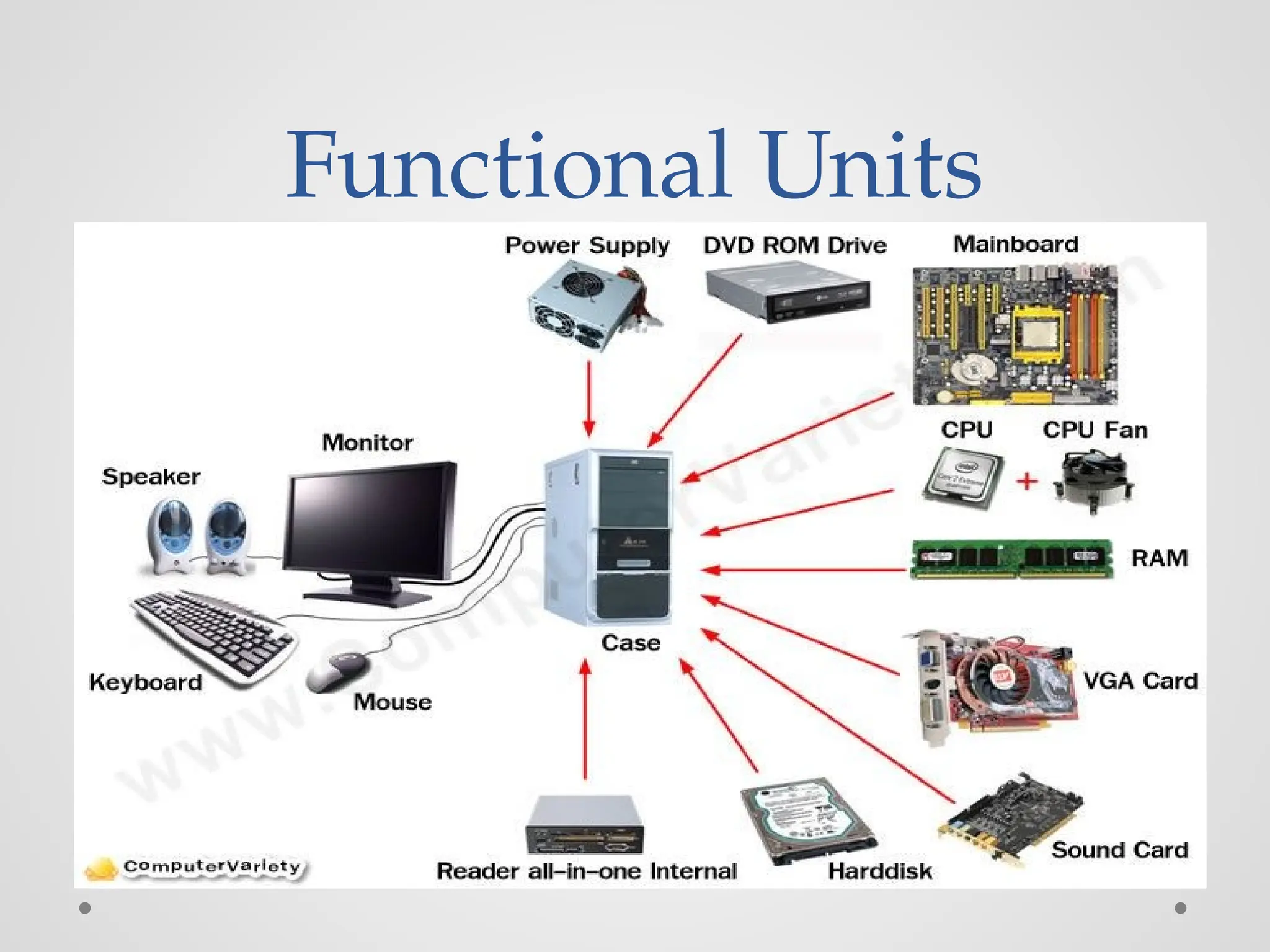 Functional Units
 