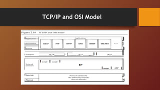 TCP/IP and OSI Model
 