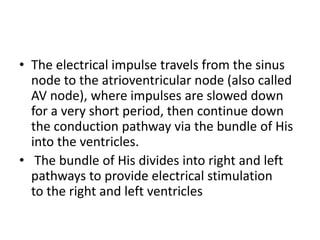 • The electrical impulse travels from the sinus
  node to the atrioventricular node (also called
  AV node), where impulses are slowed down
  for a very short period, then continue down
  the conduction pathway via the bundle of His
  into the ventricles.
• The bundle of His divides into right and left
  pathways to provide electrical stimulation
  to the right and left ventricles
 